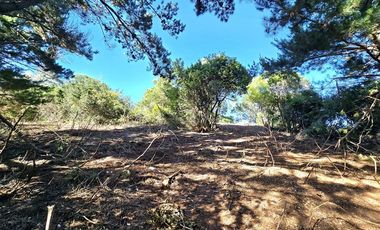 Parcela en Venta en Coliumo, Los Morros, Punta Talca