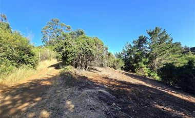 Parcela en Venta en Coliumo, Los Morros, Punta Talca