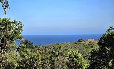 Terreno Construccion  en Venta en Coliumo, Los Morros, Punta Talca