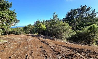 Terreno Construccion  en Venta en Coliumo, Los Morros, Punta Talca