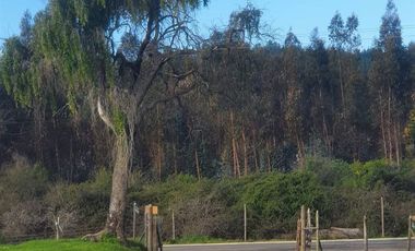 Parcela en Venta en I-566