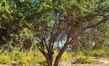 Parcela en Venta en I-566