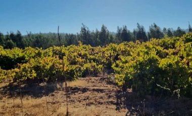 Parcela en Venta en I-566