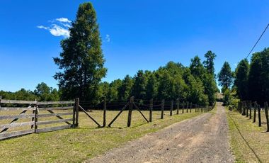 Parcela en Huincacara - Camino Licanray