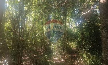 Parcela en Huincacara - Camino Licanray