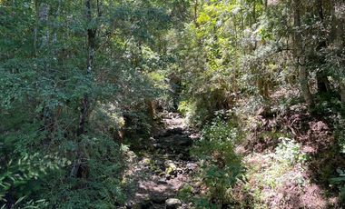 Parcela en Huincacara - Camino Licanray