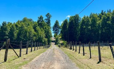 Parcela en Huincacara - Camino Licanray