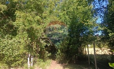 Parcela en Huincacara - Camino Licanray