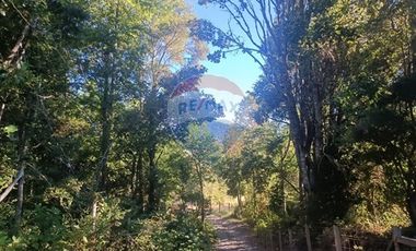Parcela en Huincacara - Camino Licanray