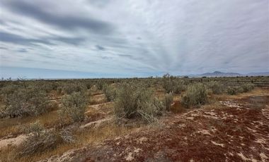 Parcela en Venta en Tongoy, Coquimbo