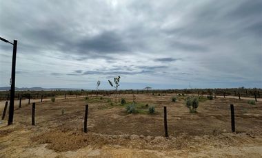 Parcela en Venta en Tongoy, Coquimbo
