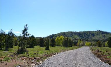Villarrica Hermosa Parcela en Venta