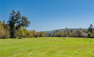 Villarrica Hermosa Parcela en Venta