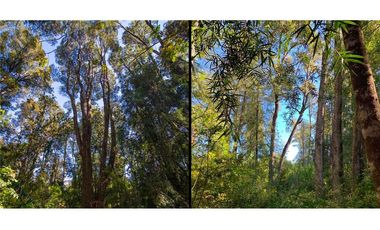 Villarrica Hermosa Parcela en Venta