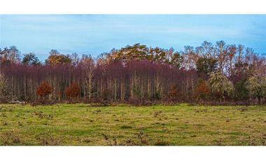 Villarrica Hermosa Parcela en Venta