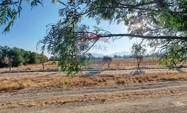Parcelas de Agrado Venta, Bollenar, Melipilla