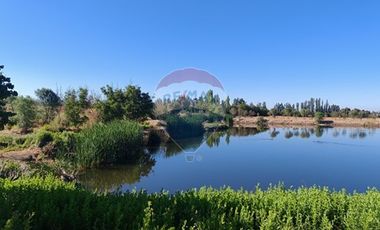 Parcelas de Agrado Venta, Bollenar, Melipilla