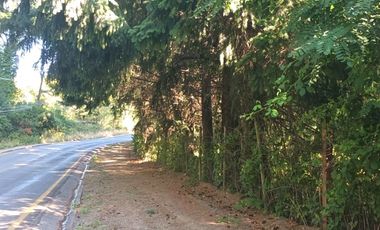 Venta Complejo Turístico a 5 min Centro Pucón