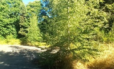 Venta Complejo Turístico a 5 min Centro Pucón