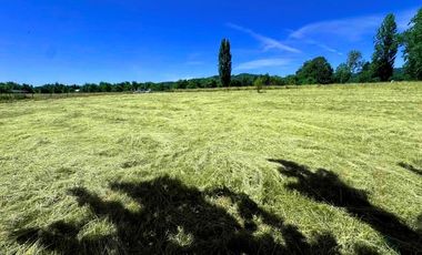 Hermosa Parcela en Sector Calle Calle - Valdivia
