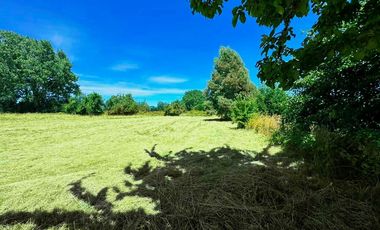 Hermosa Parcela en Sector Calle Calle - Valdivia
