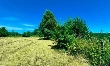 Hermosa Parcela en Sector Calle Calle - Valdivia
