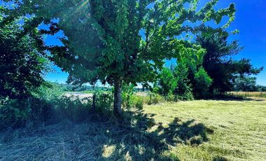 Hermosa Parcela en Sector Calle Calle - Valdivia