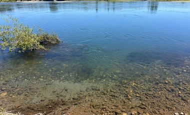 Hermosa Parcela en Sector Calle Calle - Valdivia