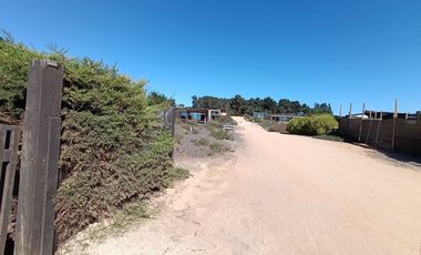 Casa frente al mar en Punta de Lobos