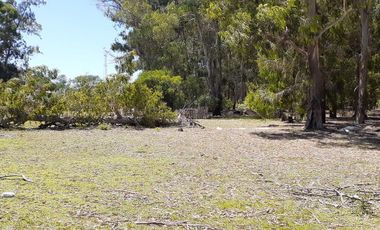 2 has linderas al Barrio Ebenezer Ideales para barrio de lotes de 300 m2!!!