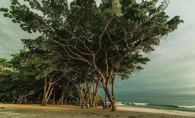 DEPARTAMENTO EN VENTA EN PUNTA DE MITA FRENTE A LA PLAYA | BOL