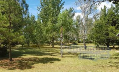 Importante y único chalet en Luis Palacios - Santa Fe