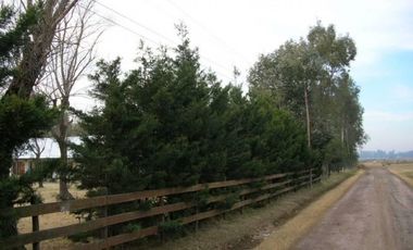 Importante y único chalet en Luis Palacios - Santa Fe