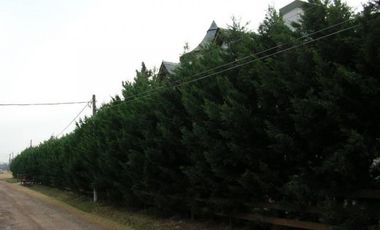 Importante y único chalet en Luis Palacios - Santa Fe