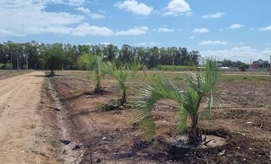 Venta Terreno Longchamps - Lote Barrio 