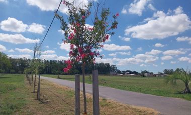 Venta Terreno Longchamps - Lote Barrio 