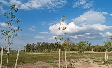 Venta Terreno Longchamps - Lote Barrio 