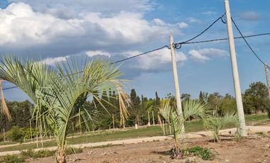 Venta Terreno Longchamps - Lote Barrio 