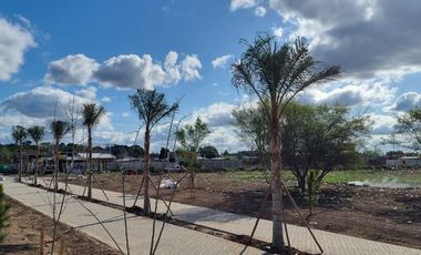 Venta Terreno Longchamps - Lote Barrio 