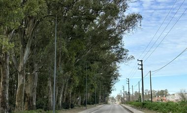 Venta Terreno Longchamps - Lote Barrio 