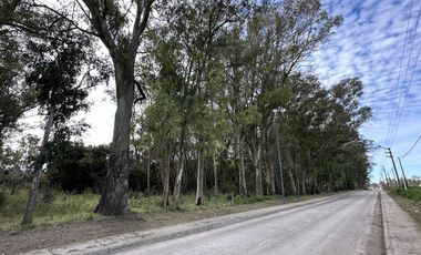 Venta Terreno Longchamps - Lote Barrio 