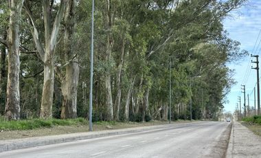 Venta Terreno Longchamps - Lote Barrio 