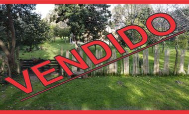 Fracción con Casa  y Galpón en venta en 20 de junio