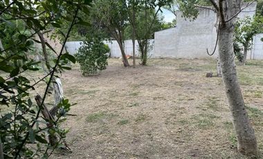 Fracción con Casa  y Galpón en venta en 20 de junio