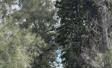 Venta Terreno Longchamps - Lote Barrio 