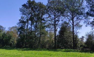 Fracción de Lote | Guernica | San Vicente