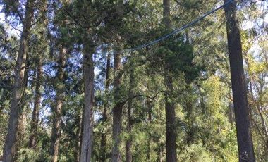 Fracción de Lote | Guernica | San Vicente