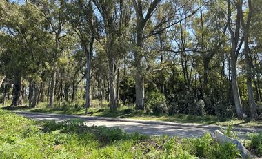 Venta Terreno Longchamps - Lote Barrio 