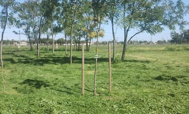 Venta Terreno Longchamps - Lote Barrio 