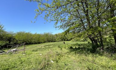 Venta Terreno Longchamps - Lote Barrio 